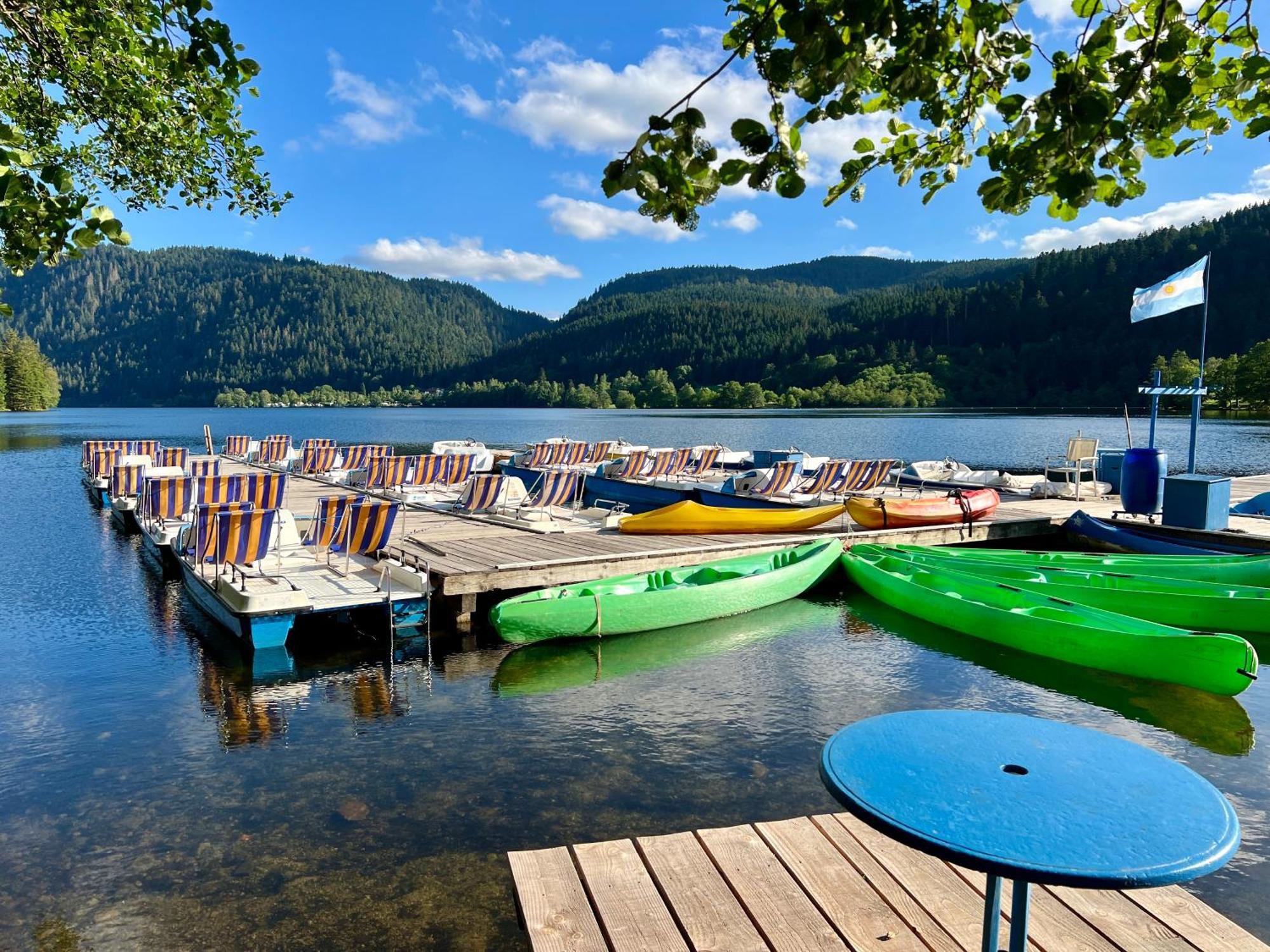 Logis Hotel, Chalets Et Restaurant Les Chatelmines La Bresse Zewnętrze zdjęcie
